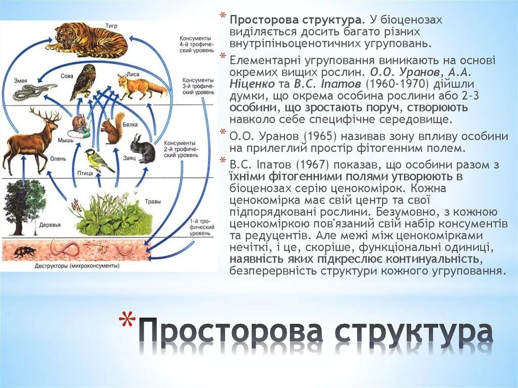 Водоросли редуценты. Функциональные группы экосистемы. Группы организмов в экосистеме. Функциональные группы организмов в экосистеме. Круговорот веществ в экосистеме.