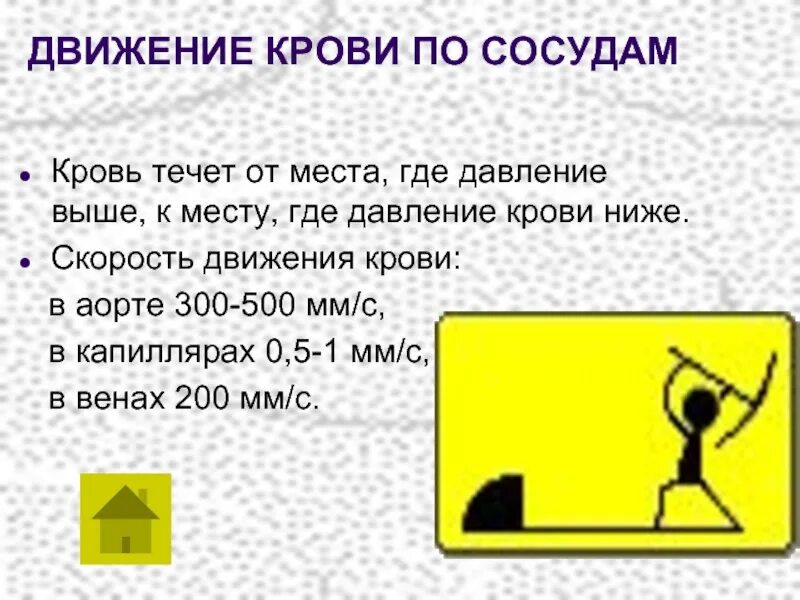 Движение крови по сосудам. Где кровь течет медленнее всего. Кровь течет по сосудам. Медленное передвижение крови по сосудам. Кровь в сосудах движется под высоким давлением