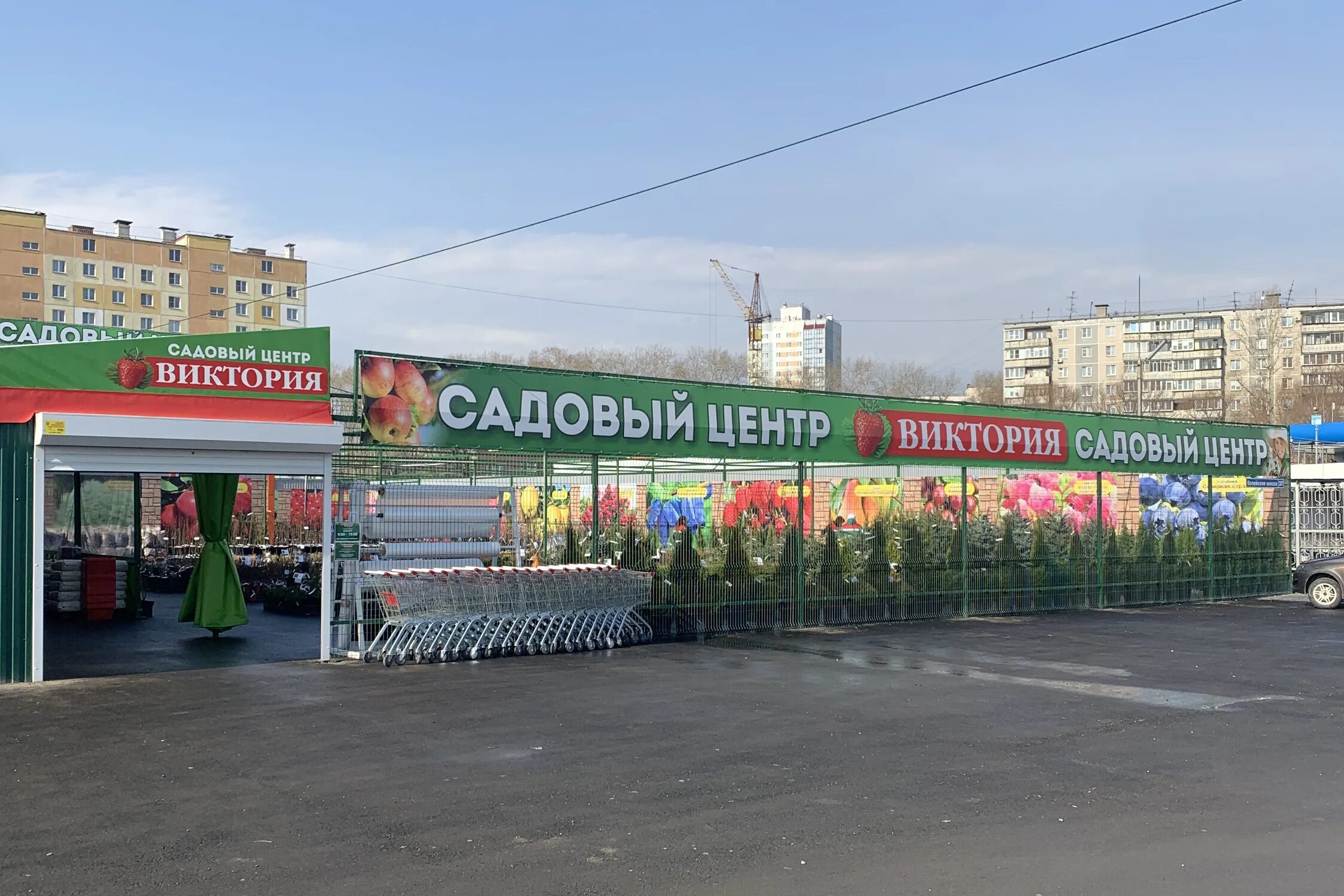 Каталог сад виктории. Каталоги семян саженцев. Каталог сад виктории. Клубника в магазине. Семена виктории.