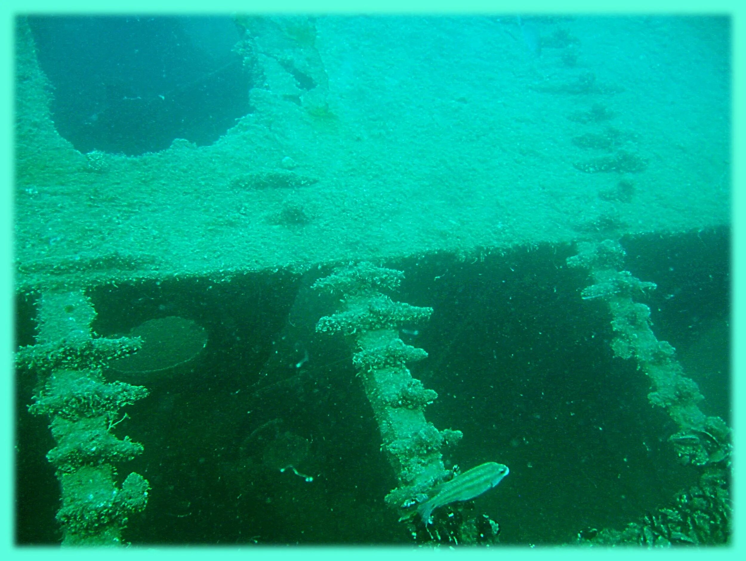 подводные камушки. подводный камень. подводная гряда. под водой. базальтовая лава на дне океана.