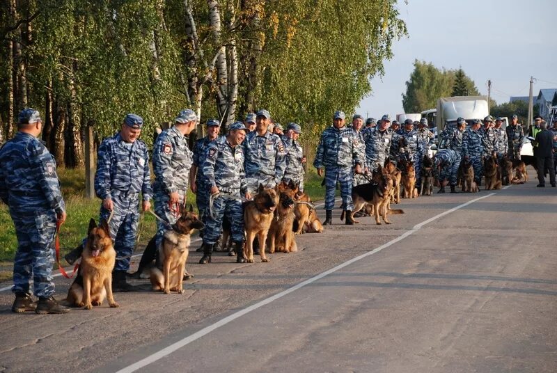 Кинологическая служба россии. Кинологическая служба полиции МВД России. Кинологи МВД Красноярского края. Кинологическая служба Североонежск. Кинология ЦКС Барнаул.