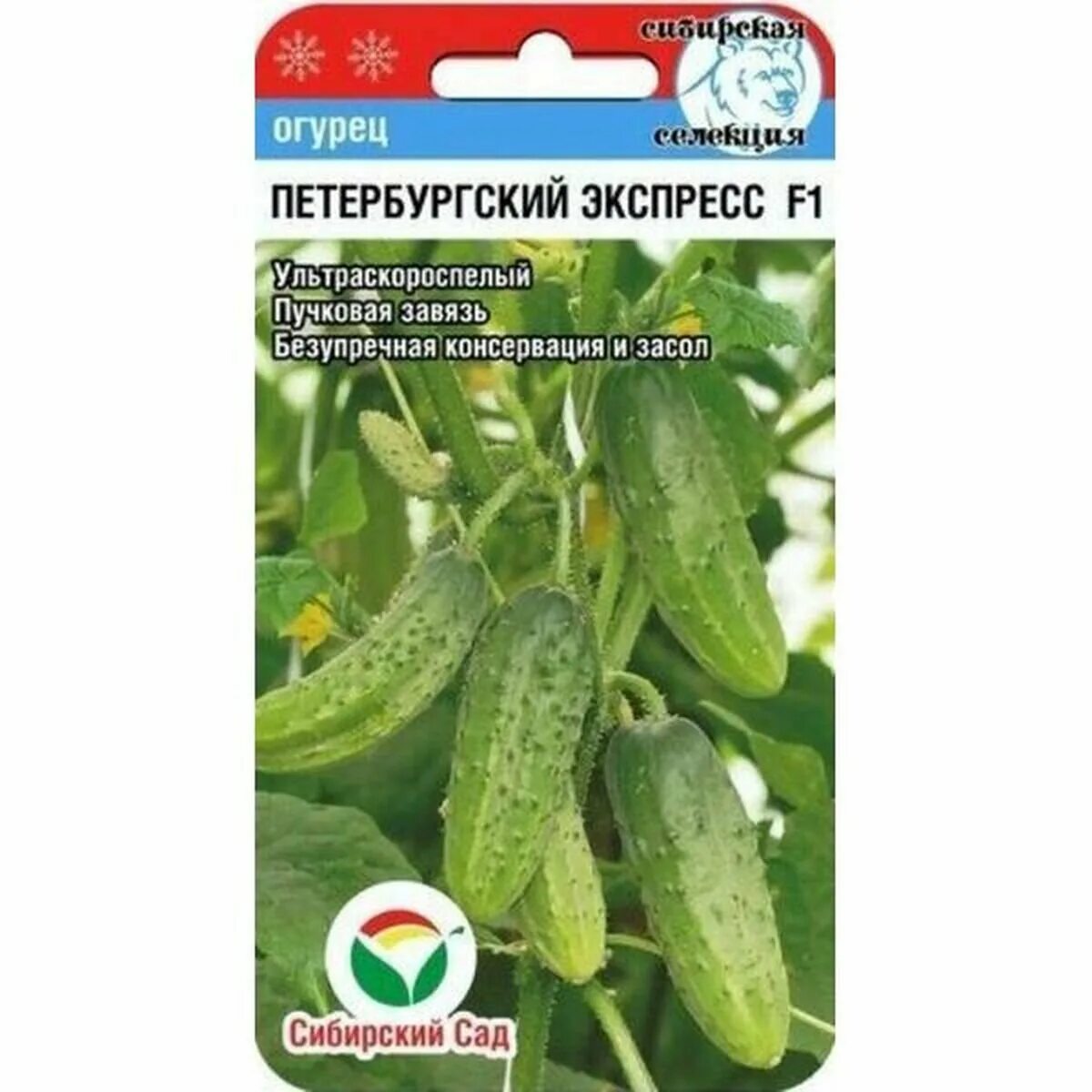 Огурец петербургский экспресс f1 8шт б/техн. Огурец метелица f1. Гавриш огурец зеленый экспресс. Огурец коза егоза уральский дачник отзывы. Огурцы саровский описание.