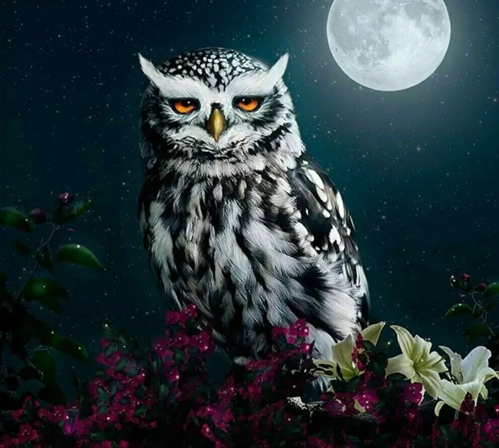 Ночные совы и летнее небо читать. Сова на фоне Луны. Сова ночью. Филин ночью. Филин Луна.