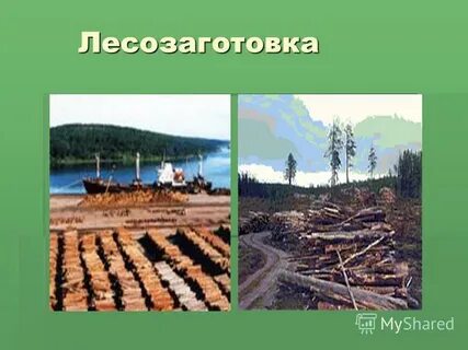Природная держава