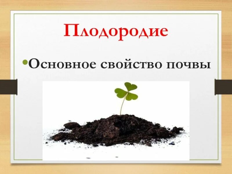 Основное свойство почвы плодородие. Почва плодородие почвы. Основное качества почевы. Почва презентация. Плодородие это свойство почвы которое