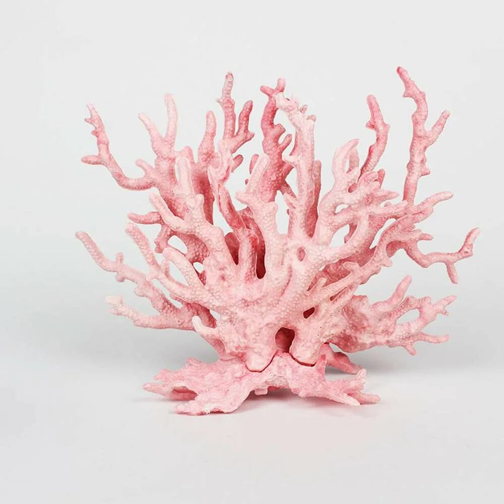 Элемент из водорослей. Коралл Stylina. Коралл Montastraea. Одиночный коралл Мushroom. Гротаква коралл розовый акрил КС-116.