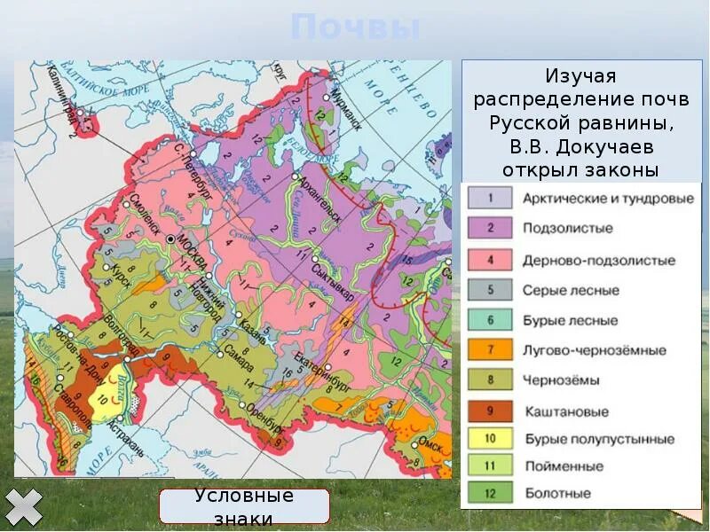 Природные зоны восточной равнины. Климатическая карта Восточно-европейской равнины. Карта климата Восточно европейской равнины. Морфоструктура Восточно европейской равнины. Климатические пояса Восточно европейской равнины.