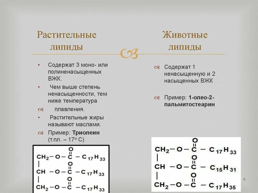 Липиды растительного происхождения. Растительные и животные липиды. Примеры растительных жиров. Растительный жир липиды.