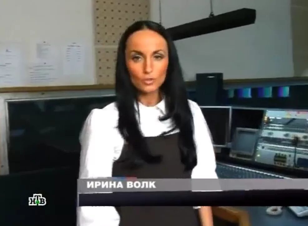 Пародия на ирину волк