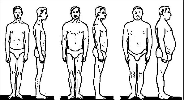 Тип людей астеник. Конституциональные схемы бунака. соматоскопия тип телосложения. бунак типы телосложения. конституция человека бунак.