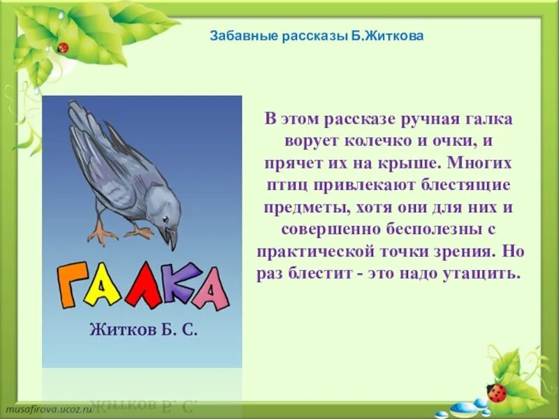 Читательский дневник рассказы житкова. Иллюстрация к рассказу Галка Житкова. Рассказ Житкова Галка. Рассказ Бориса Житкова Галка.