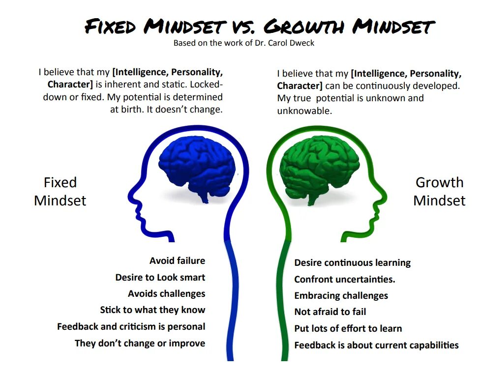 Lots of effort. Мышление роста growth Mindset. Fixed Mindset vs growth Mindset. Fixed Mindset growth Mindset перевод. Growth Mindset книга.