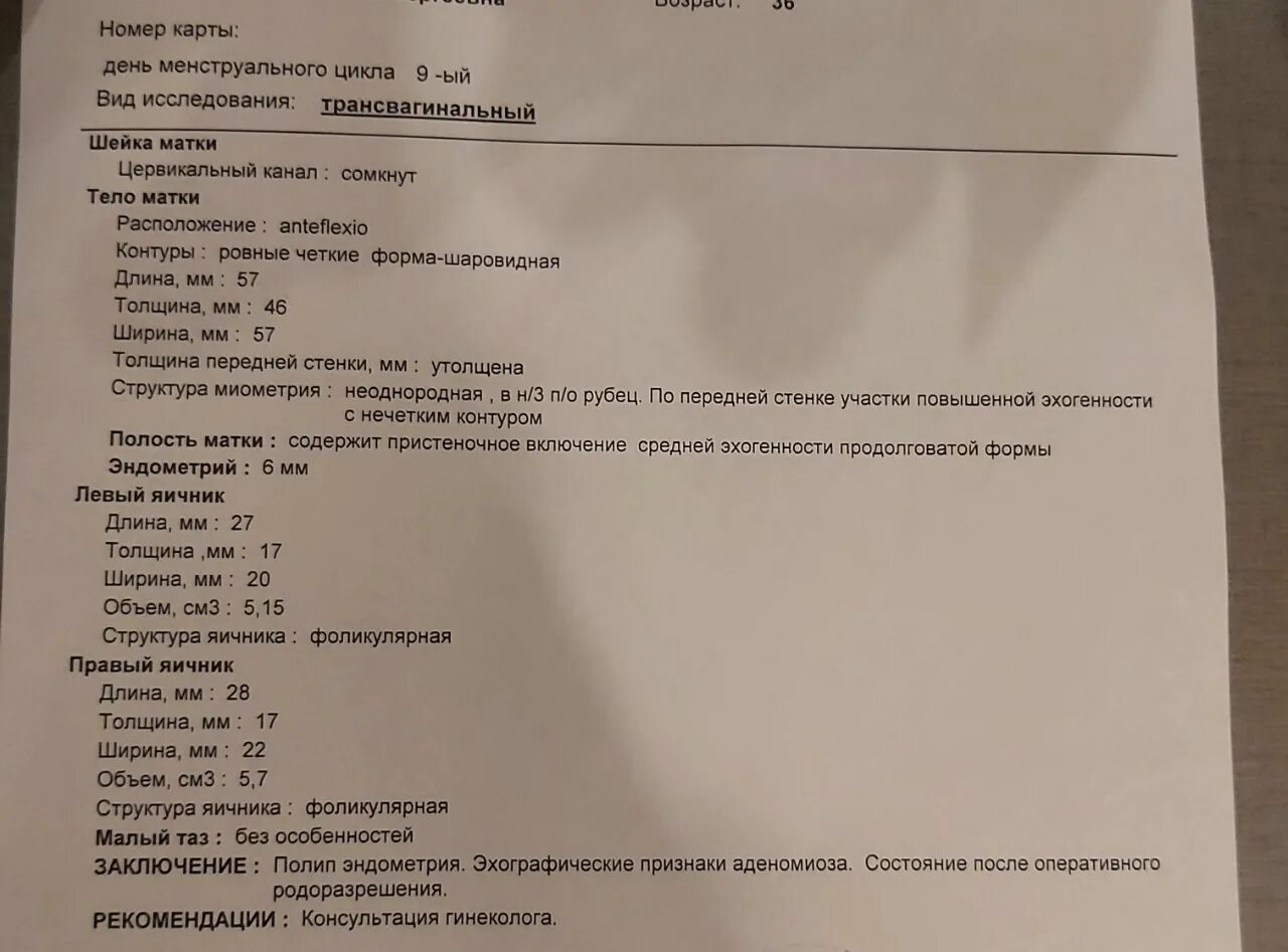 Толщина эндометрия 5 5. Эндометрий 6 мм на 6 день цикла. Эндометрий 4 мм на 4 день цикла. Толщина эндометрия 6 мм.