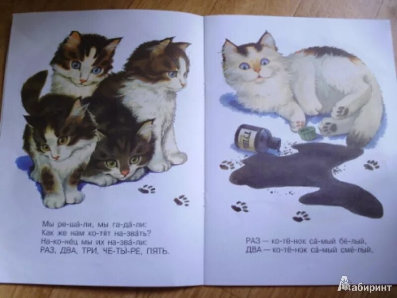 Чье стихотворение котенок. Михалков считалочка котята. Михалков считалочка котята книга. Котята стихотворение Михалкова.