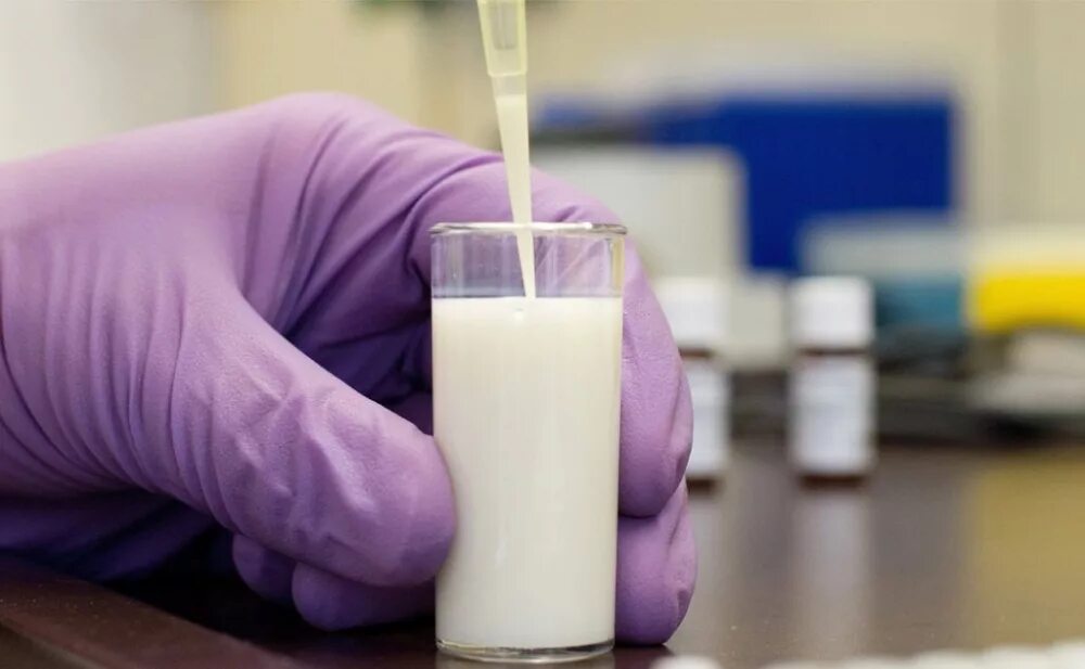 Исследование молока. Антибиотики в молочных продуктах. Антибиотики в молоке. Молоко исследование.