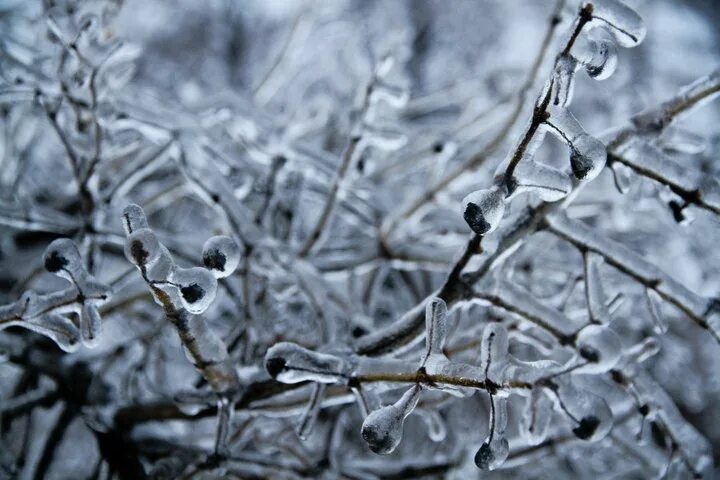 Ice rain. Ice Rain, Moscow, 2010. IDL Ice Rain.