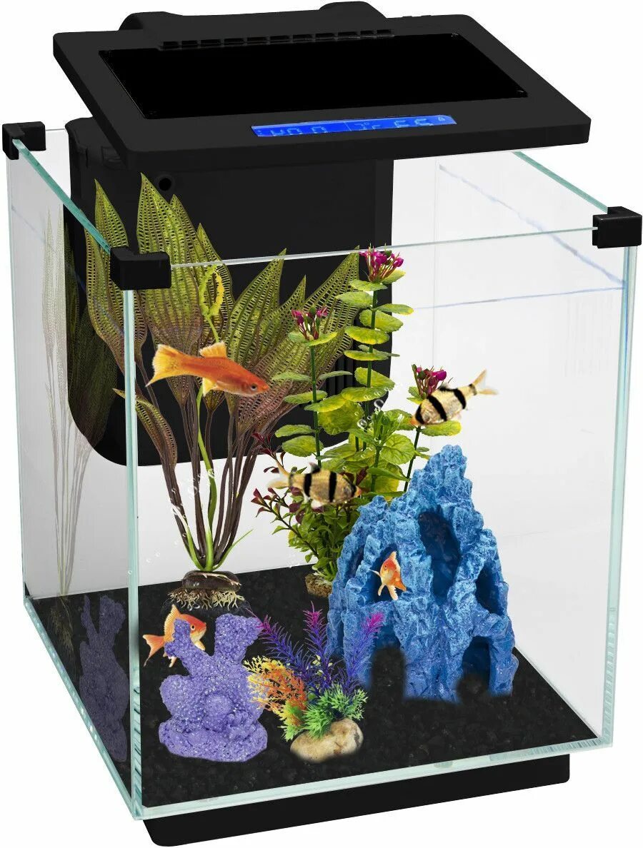 домашний аквариум. большие аквариумы. бывают аквариумы. маленький аквариум. дизайнерский аквариум.