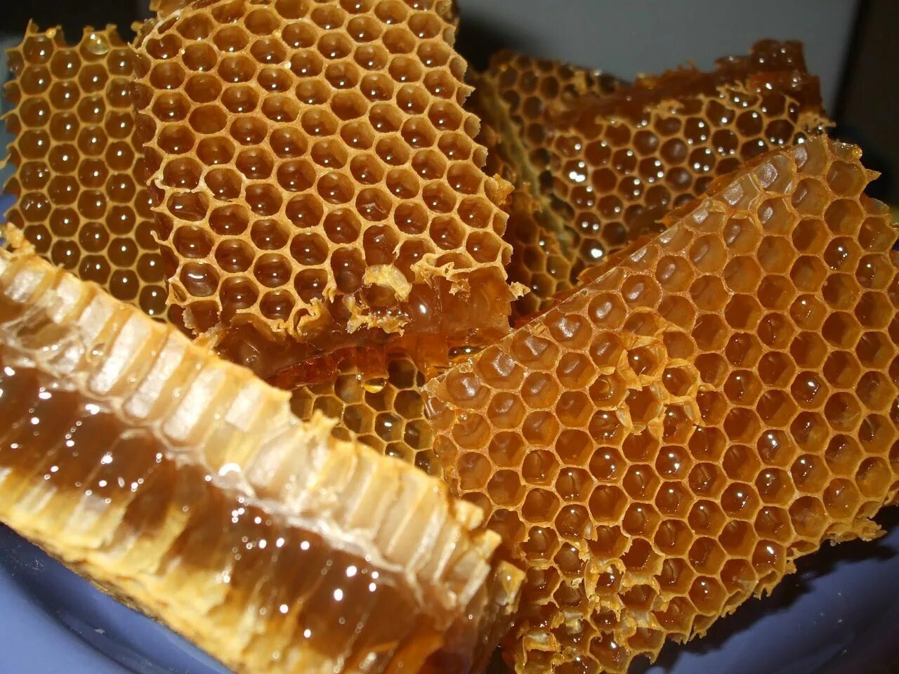 Мёд в сотах. Соты пчелиные. Пчелиные соты с медом. Улей соты.