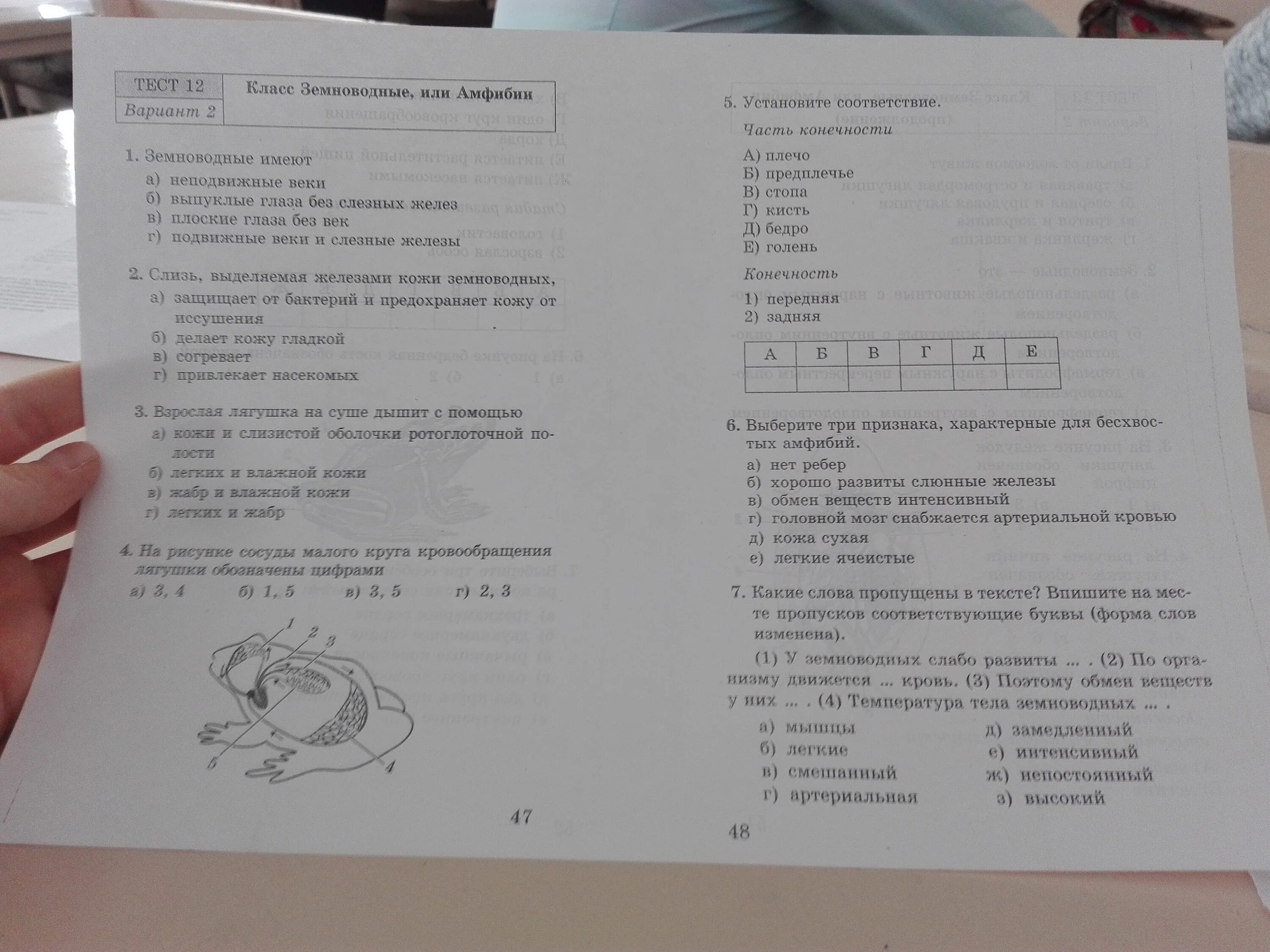 Проверочная работа по биологии 7 класс пресмыкающихся. Проверочная работа по биологии 7 класс класс земноводные или амфибии. Тест по биологии. Тест амфибии 7 класс биология. Земноводные контрольная работа 7 класс с ответами