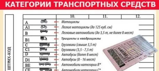 Расшифровка категории в1. Категория м, а1,в1,с1. Категории прав в России м1. Категории водительских прав 2021 таблица с расшифровкой в России. Категории прав м1 расшифровка.