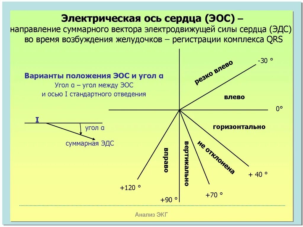 Изм оси. Направление электрической оси сердца по данным ЭКГ. Электрическая ось сердца на ЭКГ угол Альфа. Определение положения оси сердца. Электрическая ось сердца на ЭКГ физиология.