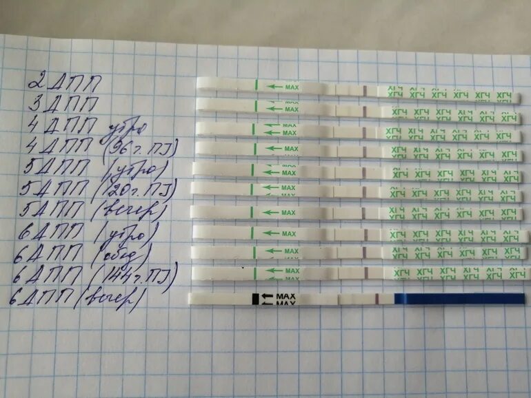 Тесты на беременность после переноса 5. ХГЧ. Тест на ХГЧ. Тесты на беременность по дням. Вывод ХГЧ после укола.