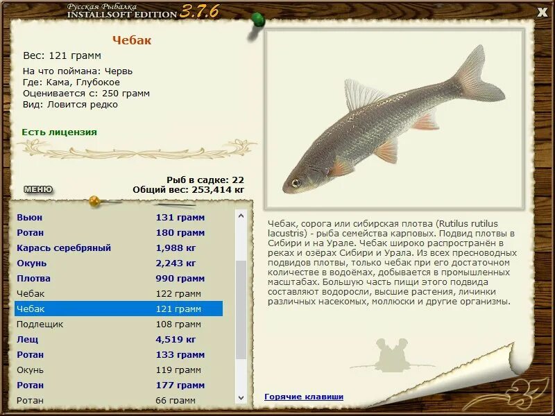 рыба семейства карповых урал. чебак вес. густера донская. популяции байкальского омуля. реальная рыбалка чебак.