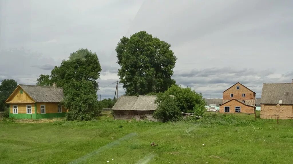 Погода голынка зельвенский. Погода голынка зельвенский. Голынка. Погода голынка зельвенский. Голынки смоленская область фото.