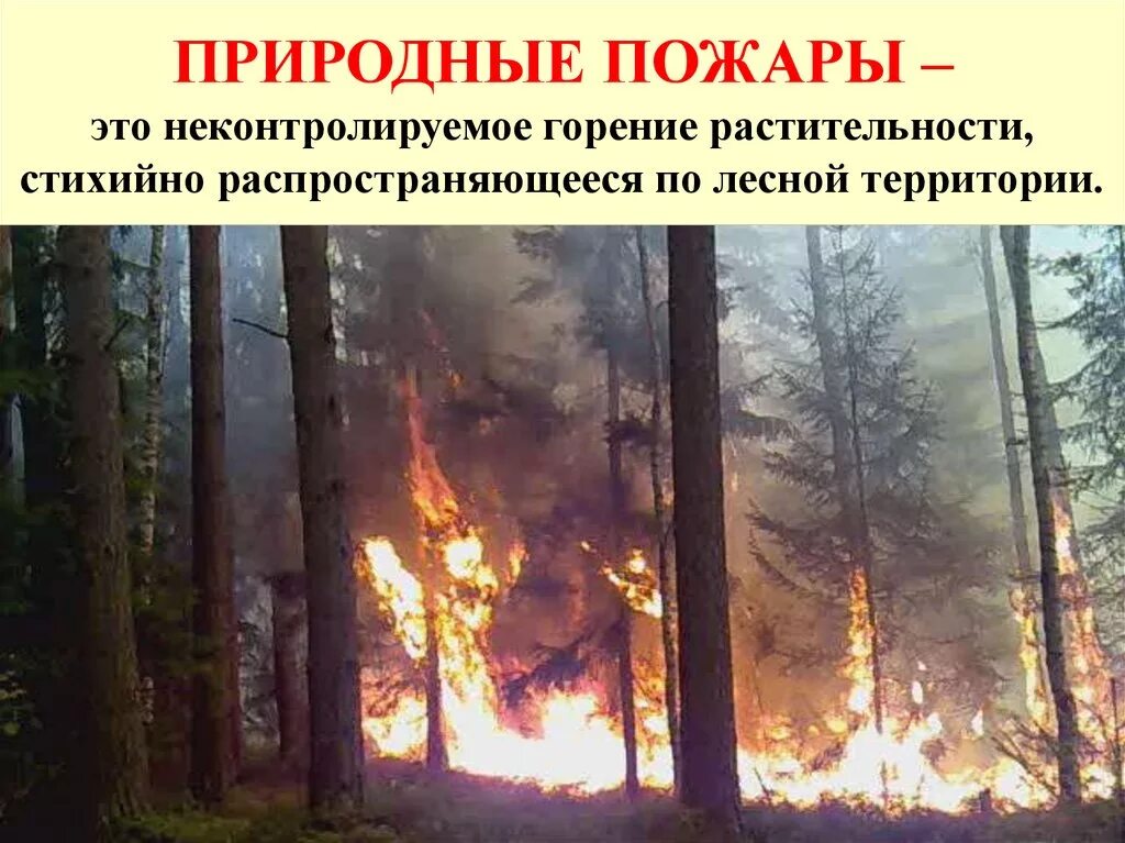 Природный пожар определение. ЧС природного характера. Чрезвычайные ситуации в природе. Чрезвычайные ситуации природные пожары. Чрезвычайные ситуации стихийного характера – это.