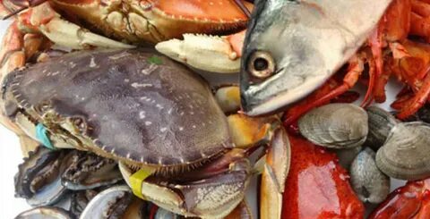 Аллергия на морепродукты