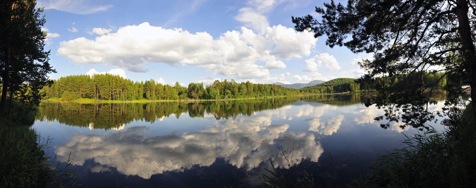 Гологорский пруд. Новоуральск водохранилище. Пруд верх. Нижний черневский пруд москва. Набережная верхнего пруда калининград.
