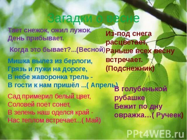 Тает снежок ожил. Загадки про весну. Весенние загадки с отгадками. Проект загадки о весне.