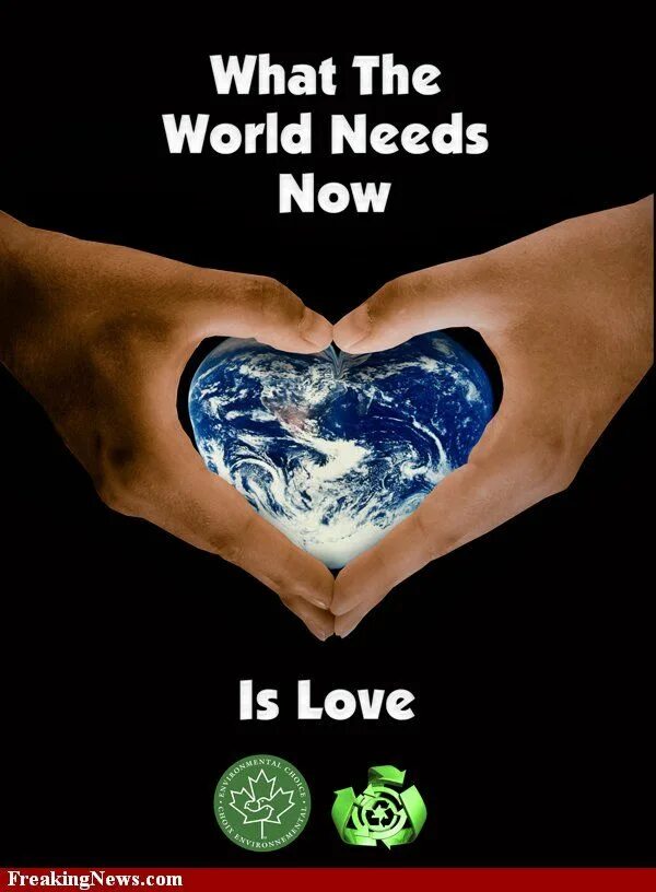 Ask yourself. What is love фото альбома. Sweet. Ask yourself одежда. Cat power albums.