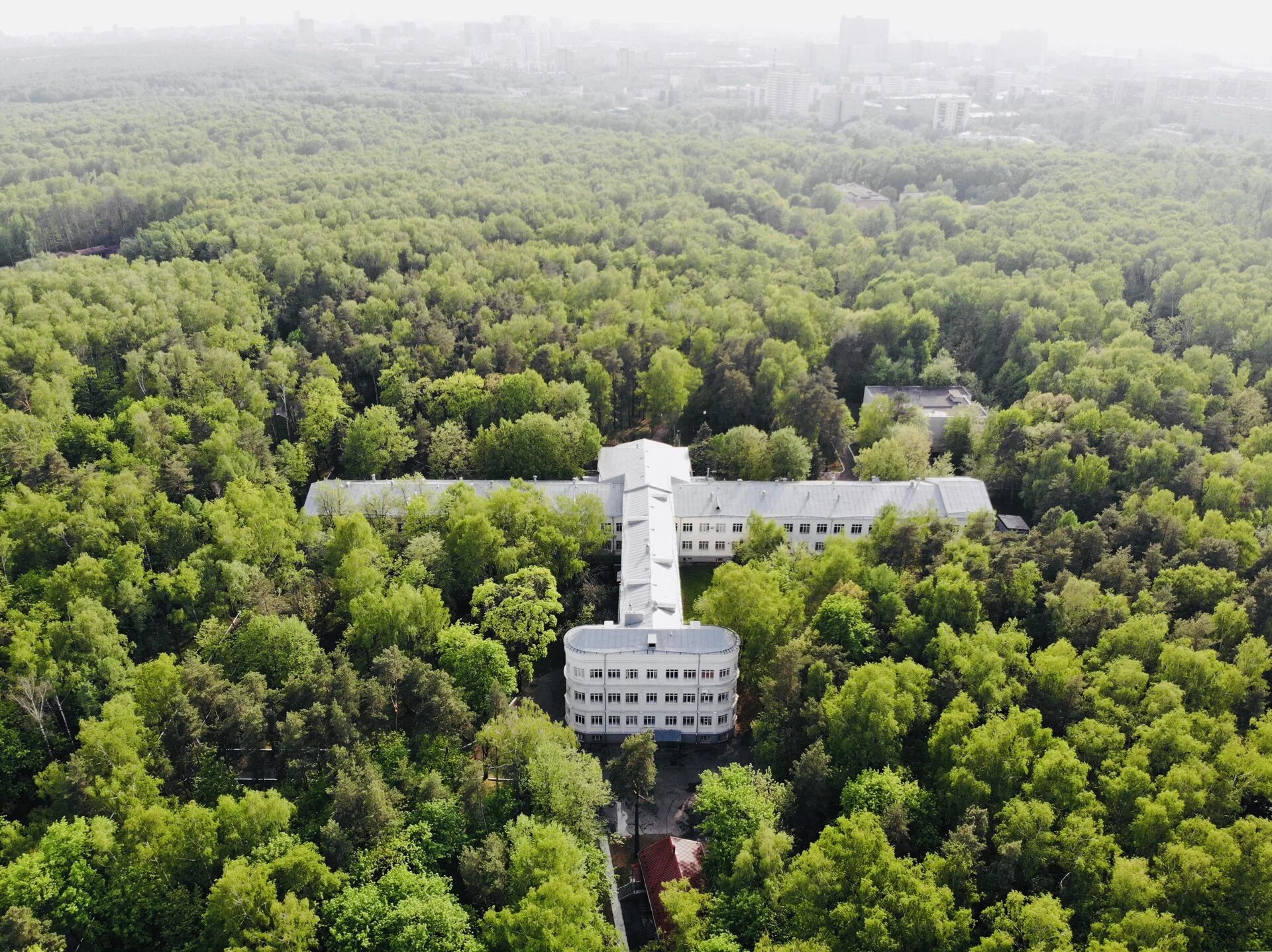 Парк лосиный остров москва. Яузская аллея лосиный остров. Цнии туберкулеза дом самолет. Лосиный остров ярославское шоссе. Лосиный остров москва гольяново.