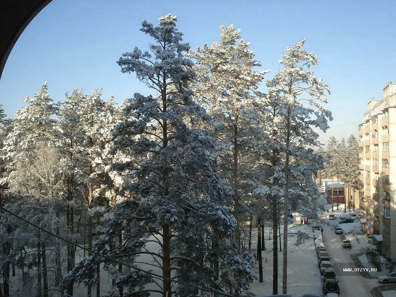 Железногорск Красноярский край. Дендрарий Железногорск. Парк Железногорск Красноярский край. Железногорск Красноярский край фото. Железногорск красноярский край сады