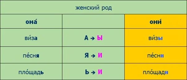 Звонкие какой род