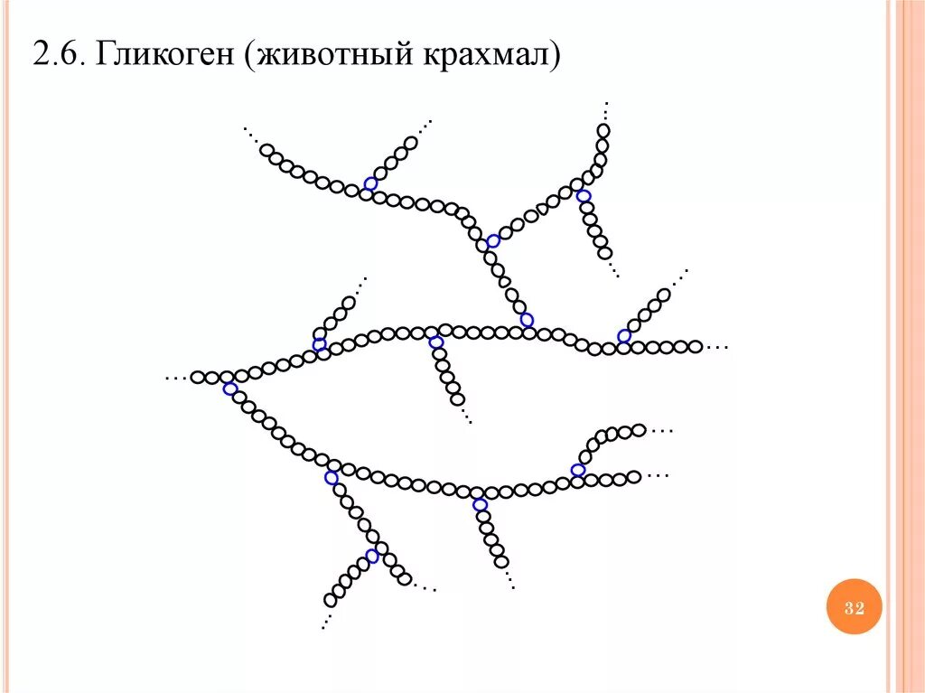 Гликоген у животных. Гликоген полисахарид. гликоген животный крахмал. гликоген рисунок.