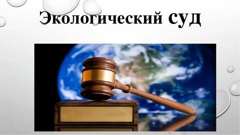 Судебно экологическая