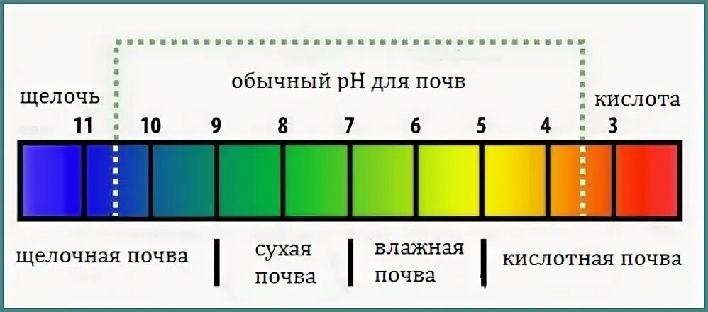 Кислотность почвы показатели PH. РН кислотность почвы. Шкала кислотности PH почвы. Шкала PH почвы кислотности почвы. Посадки кислотность