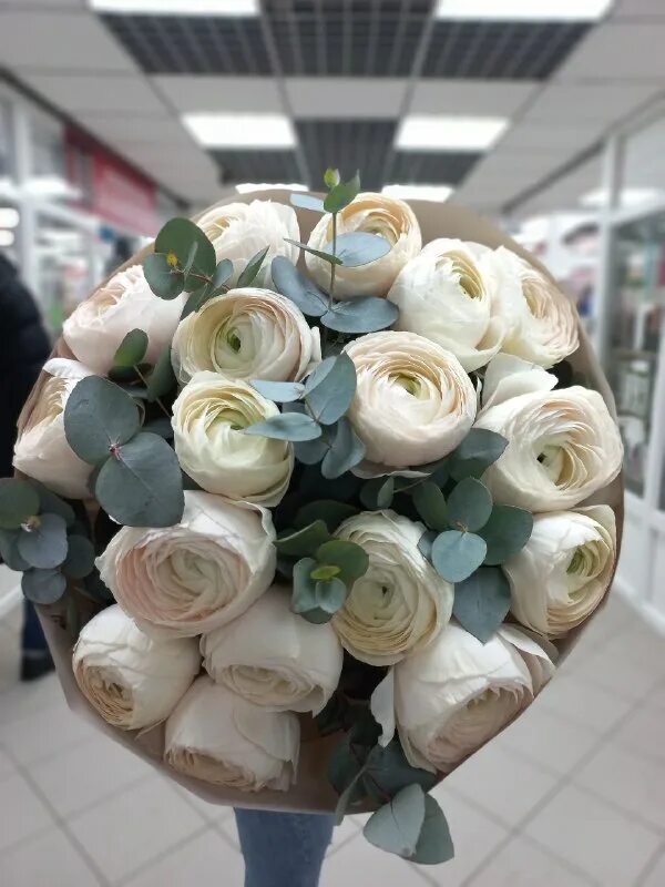 цветы юго запад. вертикордия. цветы юго запад. воронцовский парк юго-западный район. цветущий эхиноцереус.