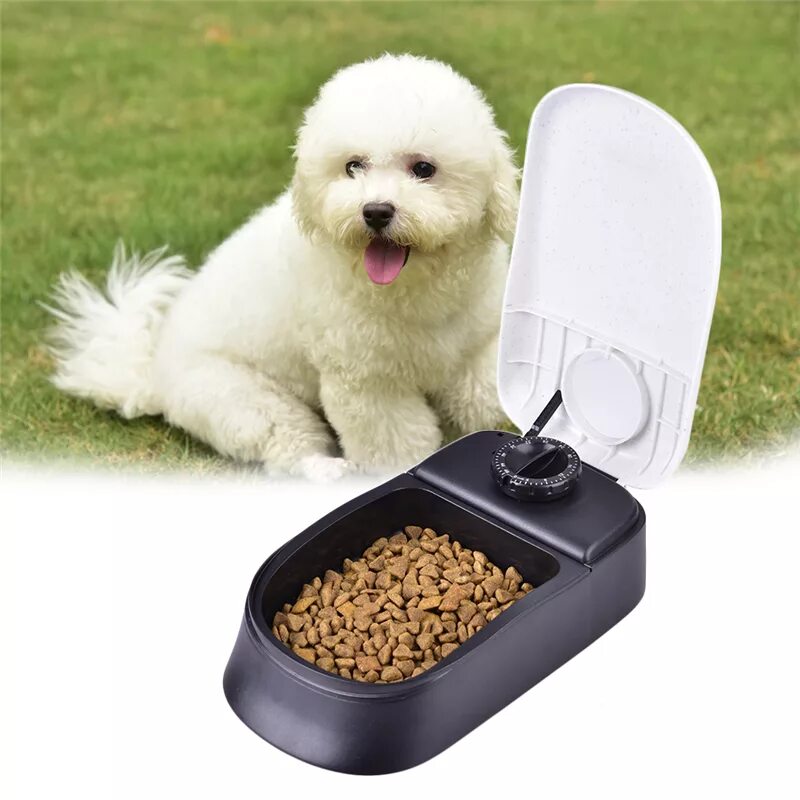 Дозатор для кошек с таймером. Автокормушки для собак Pet Feeder. Автокормушка для собак timed Feeder. Автокормушка Major Dog Leckerbisschen w-40. Автоматическая кормушка для кошек.