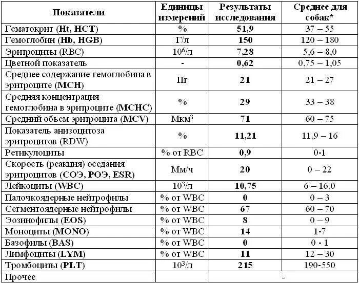 Пониженная норма эритроцитов. Среднее содержание гемоглобина в 1 эритроците норма. норма среднего содержания гемоглобина в эритроците в крови у детей. средняя концентрация гемоглобина в эритроците норма у мужчин. средняя концентрация гемоглобина в эритроците норма у детей.