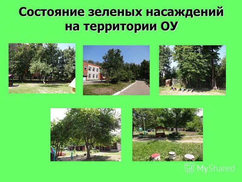 зеленые насаждения для презентации. состояние зеленых насаждений в москве. охрана зеленых насаждений. проект зеленых насаждений. состояние зеленых насаждений.