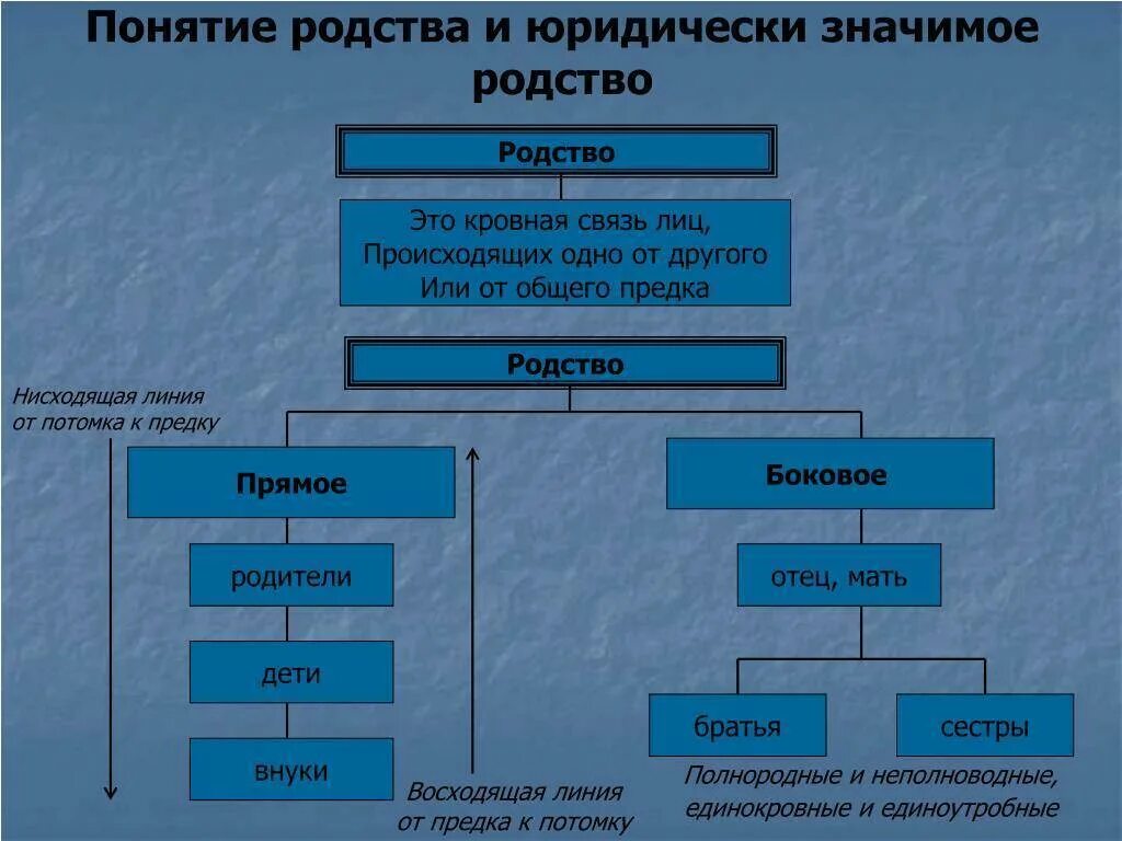 Родственная связь слов. Понятие родства. Степень родства в семейном праве. Родственные понятия. Степени родства термины.