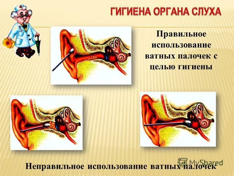 гигиена органов слуха. гигиена слуха презентация. гигиена слуха презентация. памятка гигиена слуха. гигиена органов слуха рисунок.