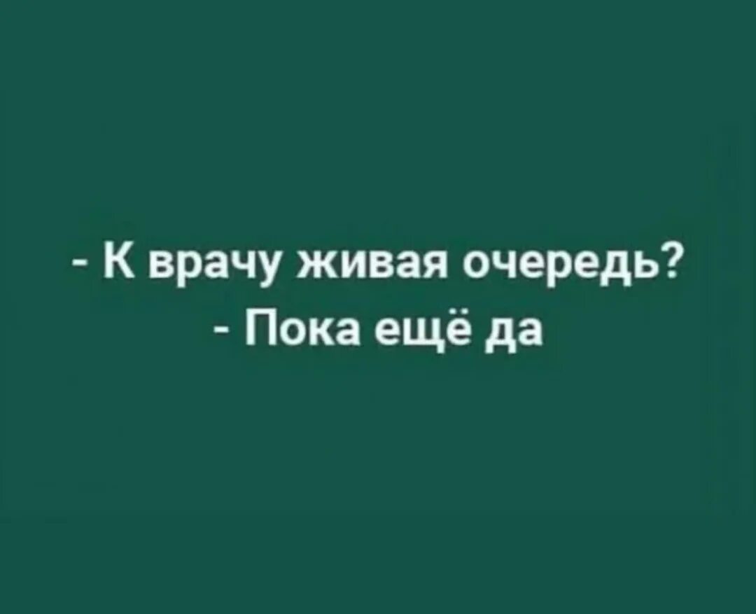 Запись в живую очередь. К врачу Живая очередь пока. К врачу Живая очередь пока еще да. А очередь к врачу Живая пока да. Очередь Живая пока еще да.