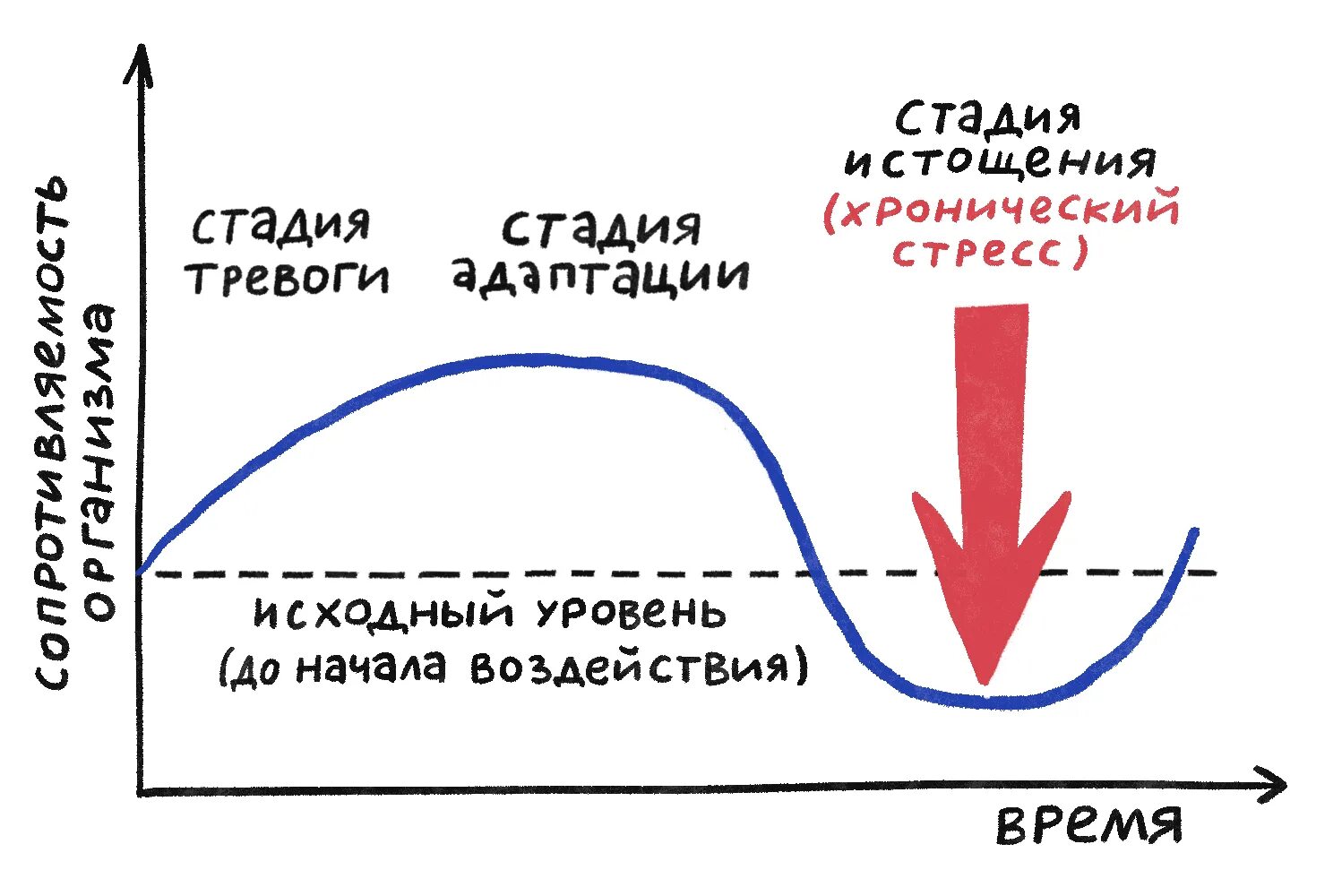 Фазы стресса по г Селье. Три фазы стресса Селье. Стадии развития стресса. Стадии возникновения стресса.