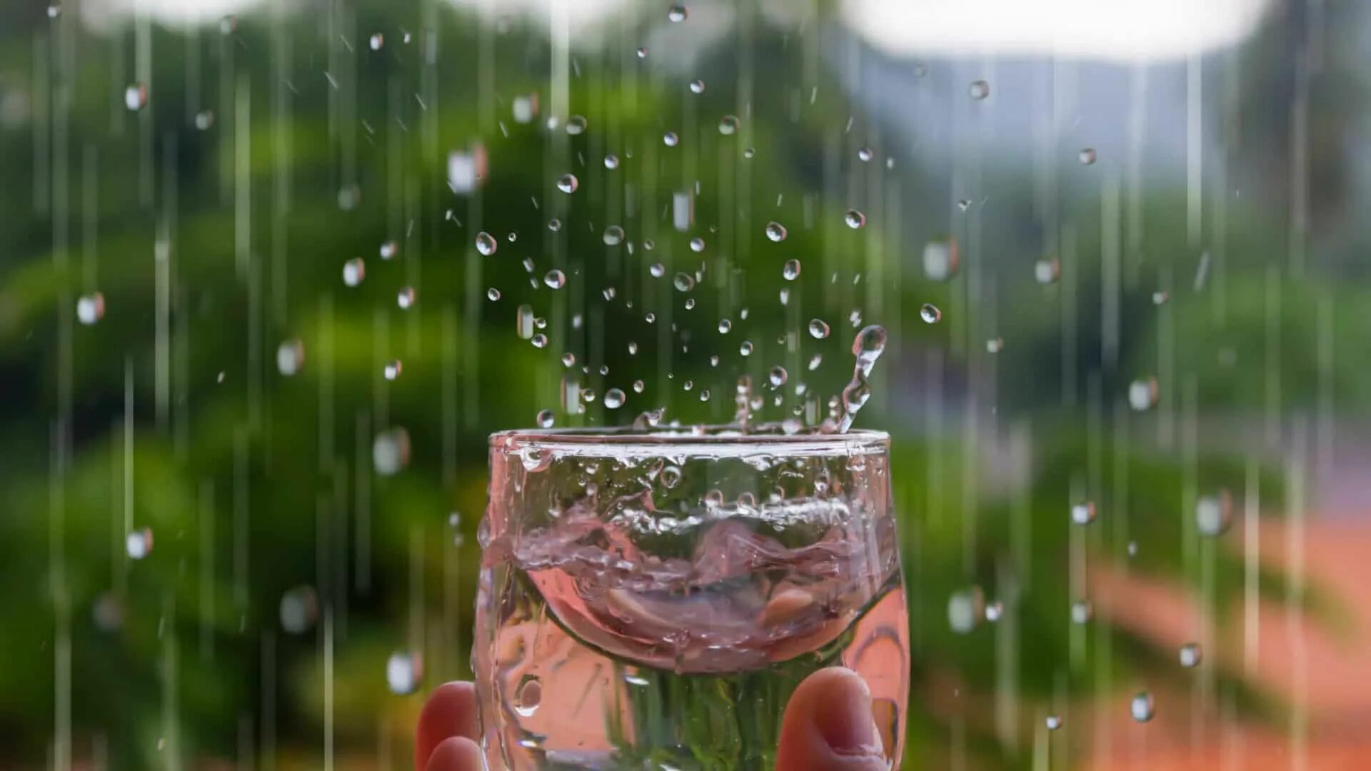 Drinking in the rain