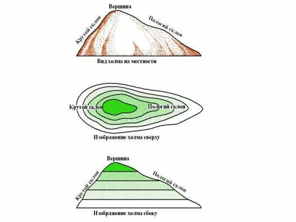 Топографическая карта холма 5 класс. Форма рельефа холма. Абсолютная высота холма на топографической карте. Форма рельефа холм на карте. Высота холмов