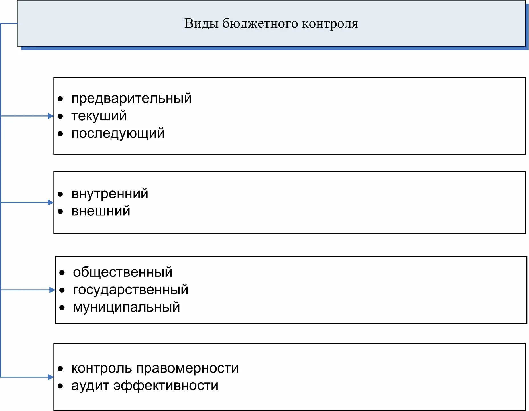 Бюджетный вид финансового контроля